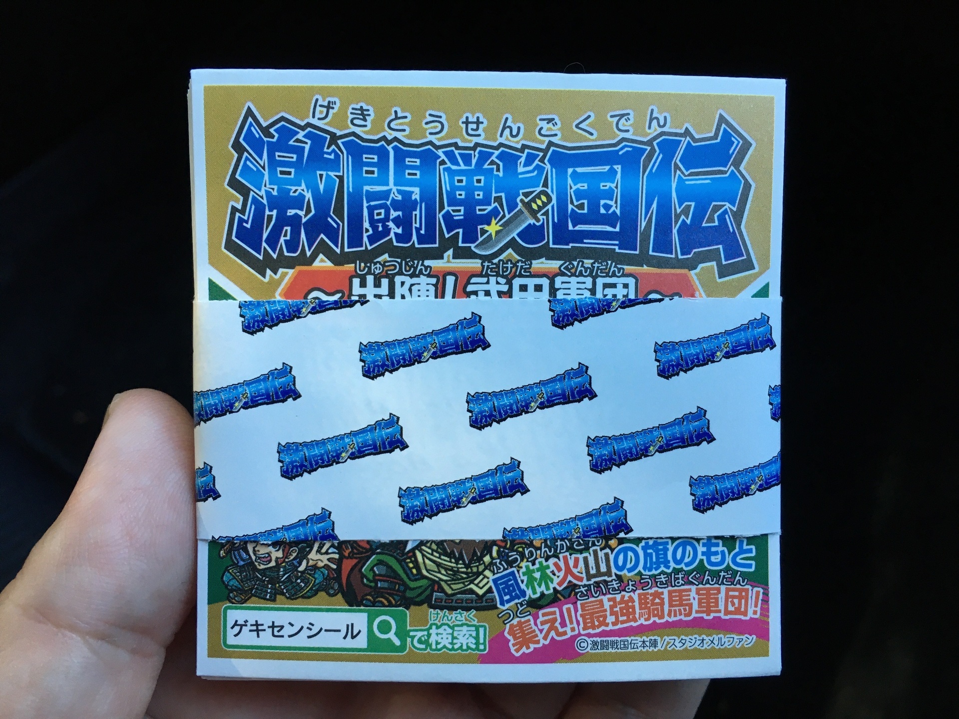 激闘戦国伝20枚セット.jpg